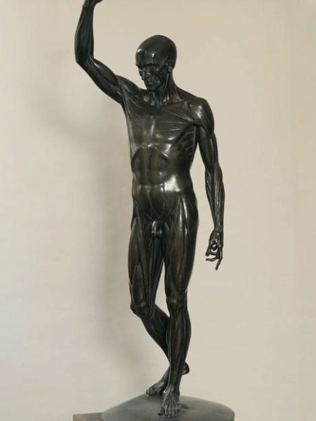 【讲座】SmartMuse Courses 学院与艺术——第五集：从解剖学到形态学